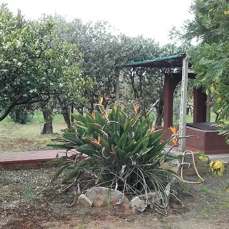 Tenuta Le Vermene *