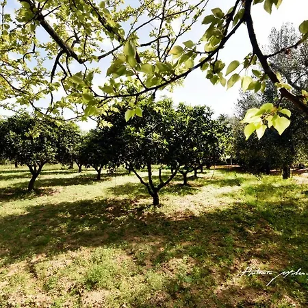 Holiday home Tenuta Le Vermene