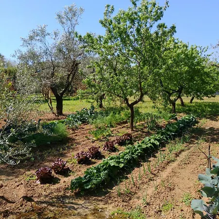 Holiday home Tenuta Le Vermene