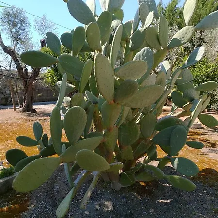 Tenuta Le Vermene