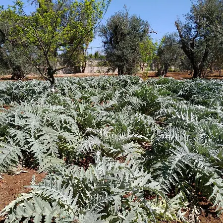 Tenuta Le Vermene * Alezio