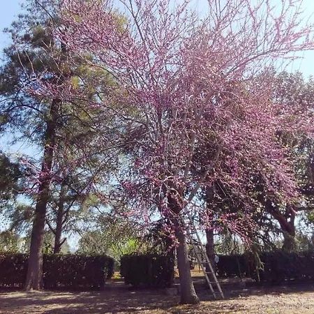 Σπίτι διακοπών Tenuta Le Vermene