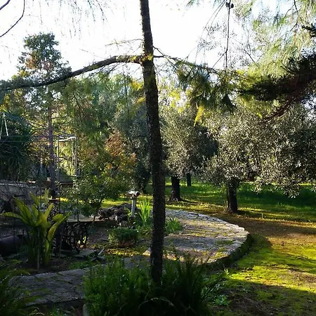 Tenuta Le Vermene * Alezio